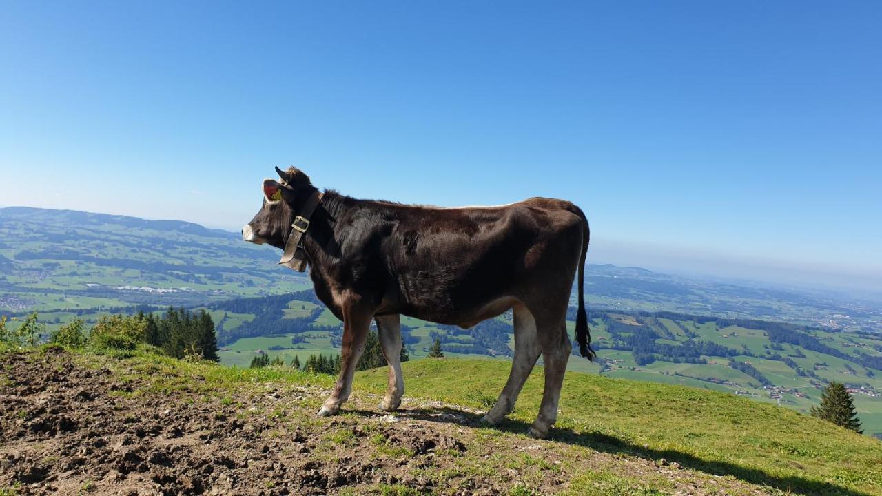 Allgaeu Bergluft Weitnau المظهر الخارجي الصورة