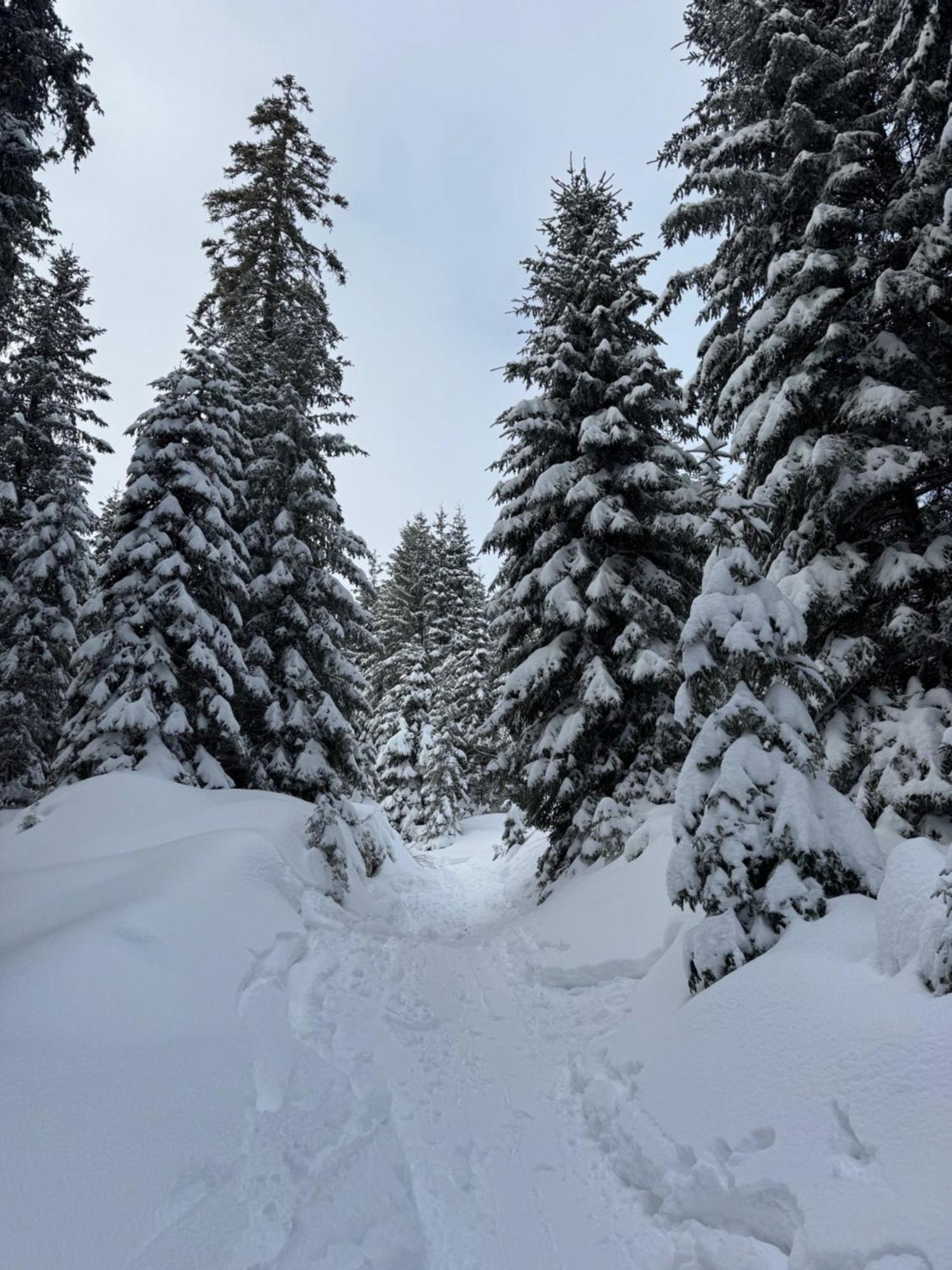 Allgaeu Bergluft Weitnau المظهر الخارجي الصورة