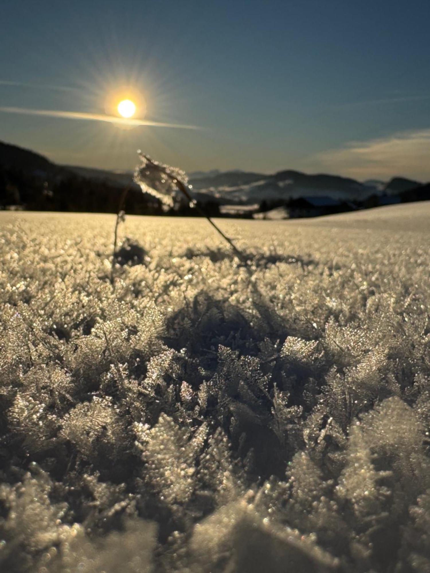 Allgaeu Bergluft Weitnau المظهر الخارجي الصورة