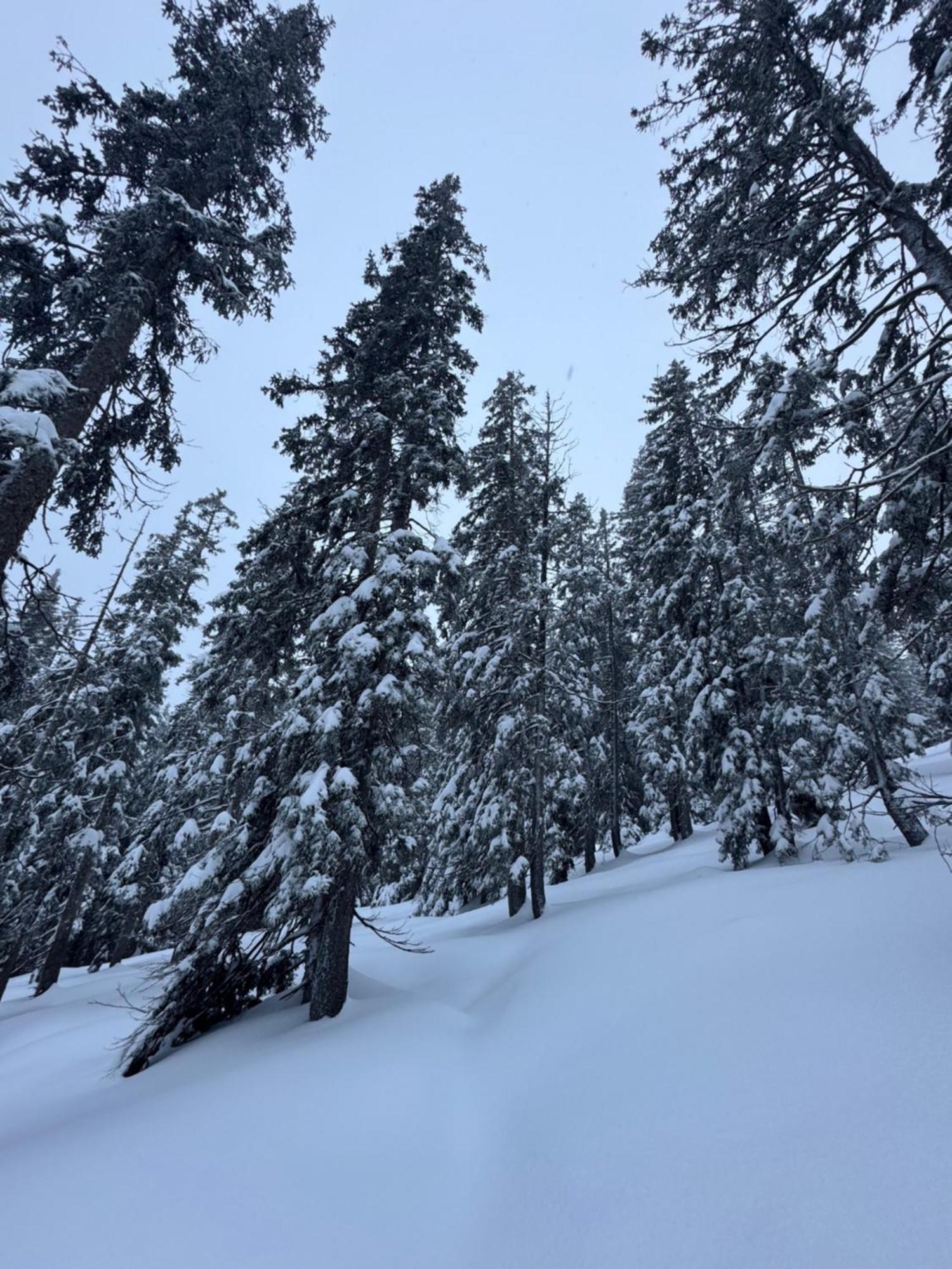 Allgaeu Bergluft Weitnau المظهر الخارجي الصورة