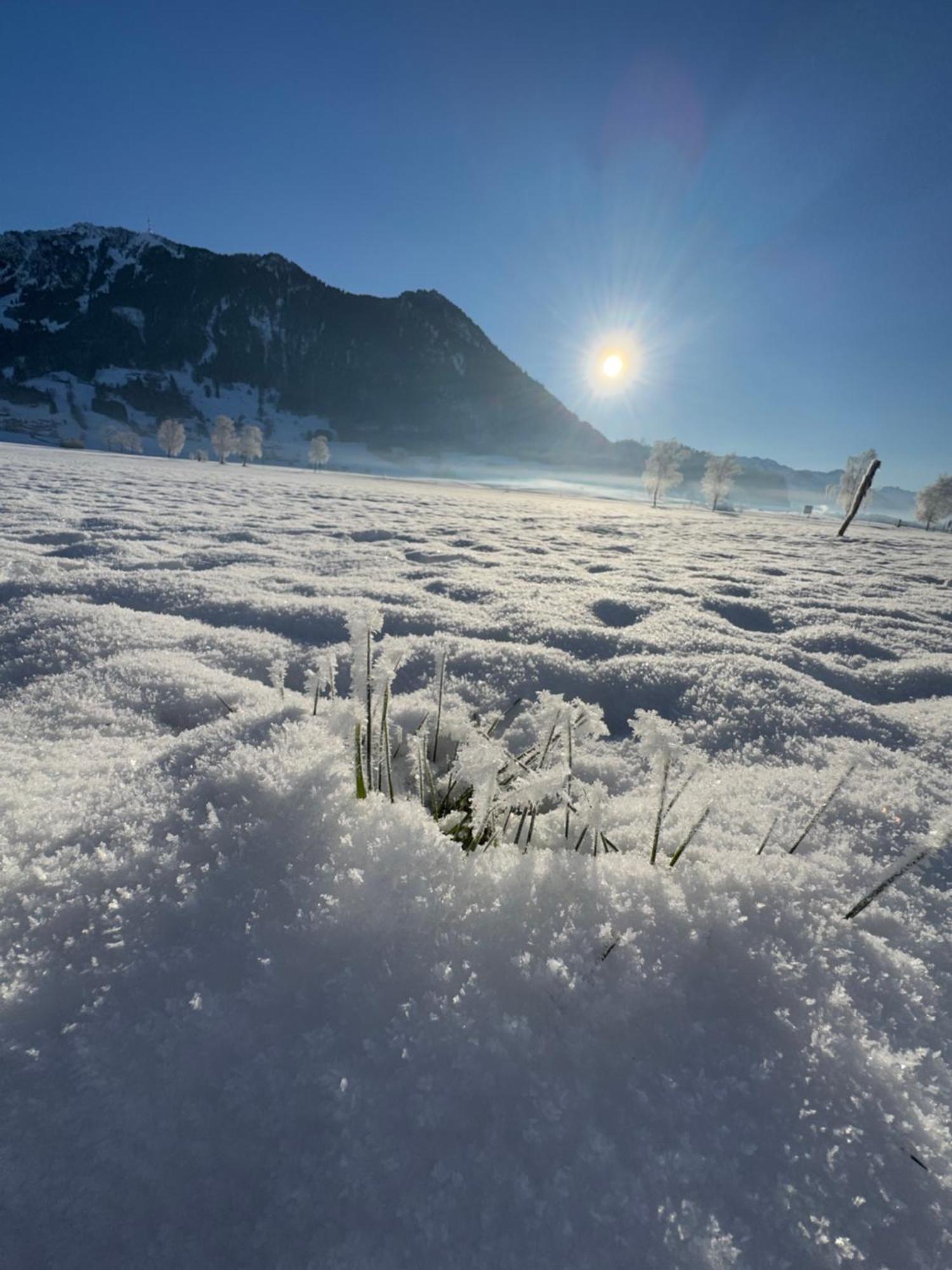 Allgaeu Bergluft Weitnau المظهر الخارجي الصورة