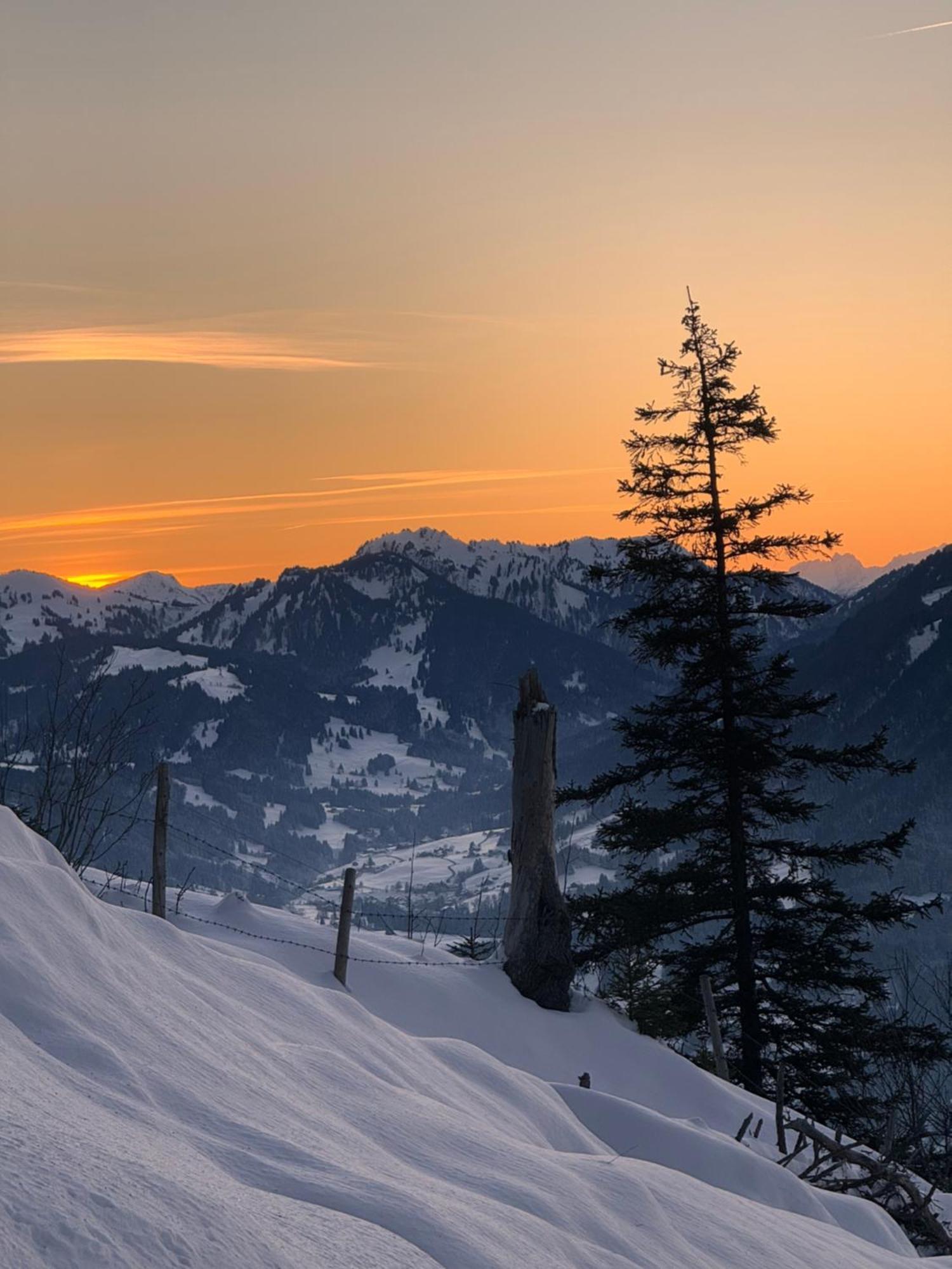Allgaeu Bergluft Weitnau المظهر الخارجي الصورة