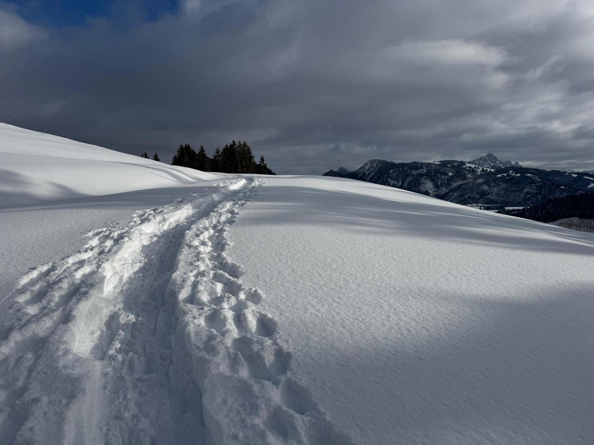 Allgaeu Bergluft Weitnau المظهر الخارجي الصورة
