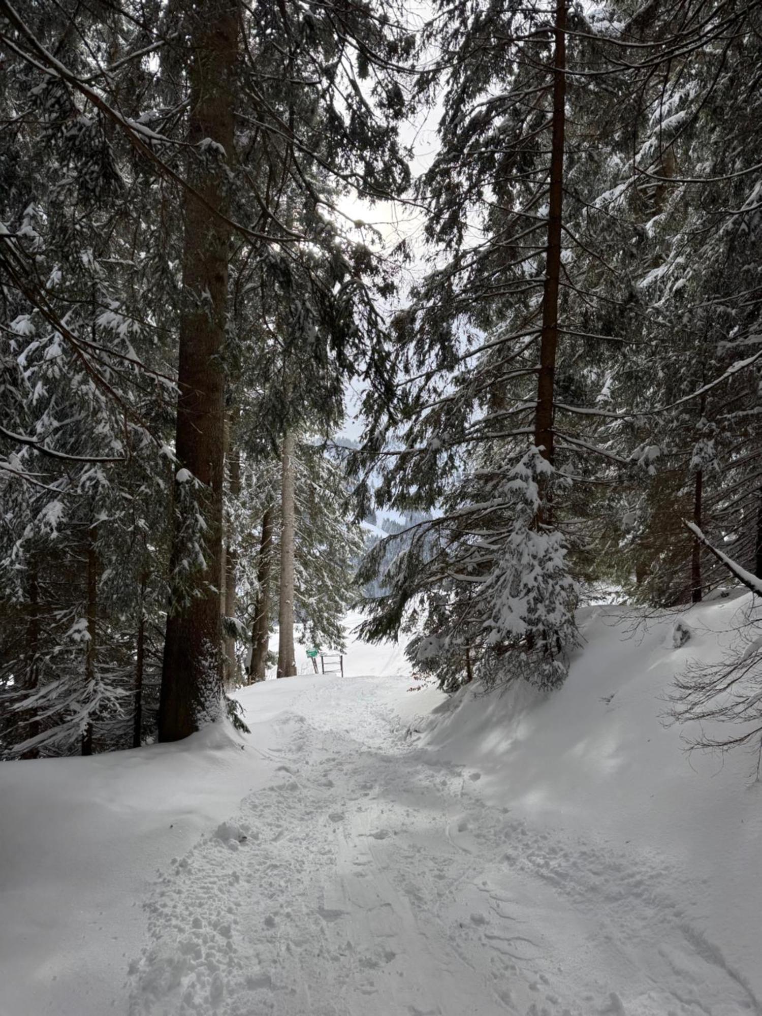 Allgaeu Bergluft Weitnau المظهر الخارجي الصورة