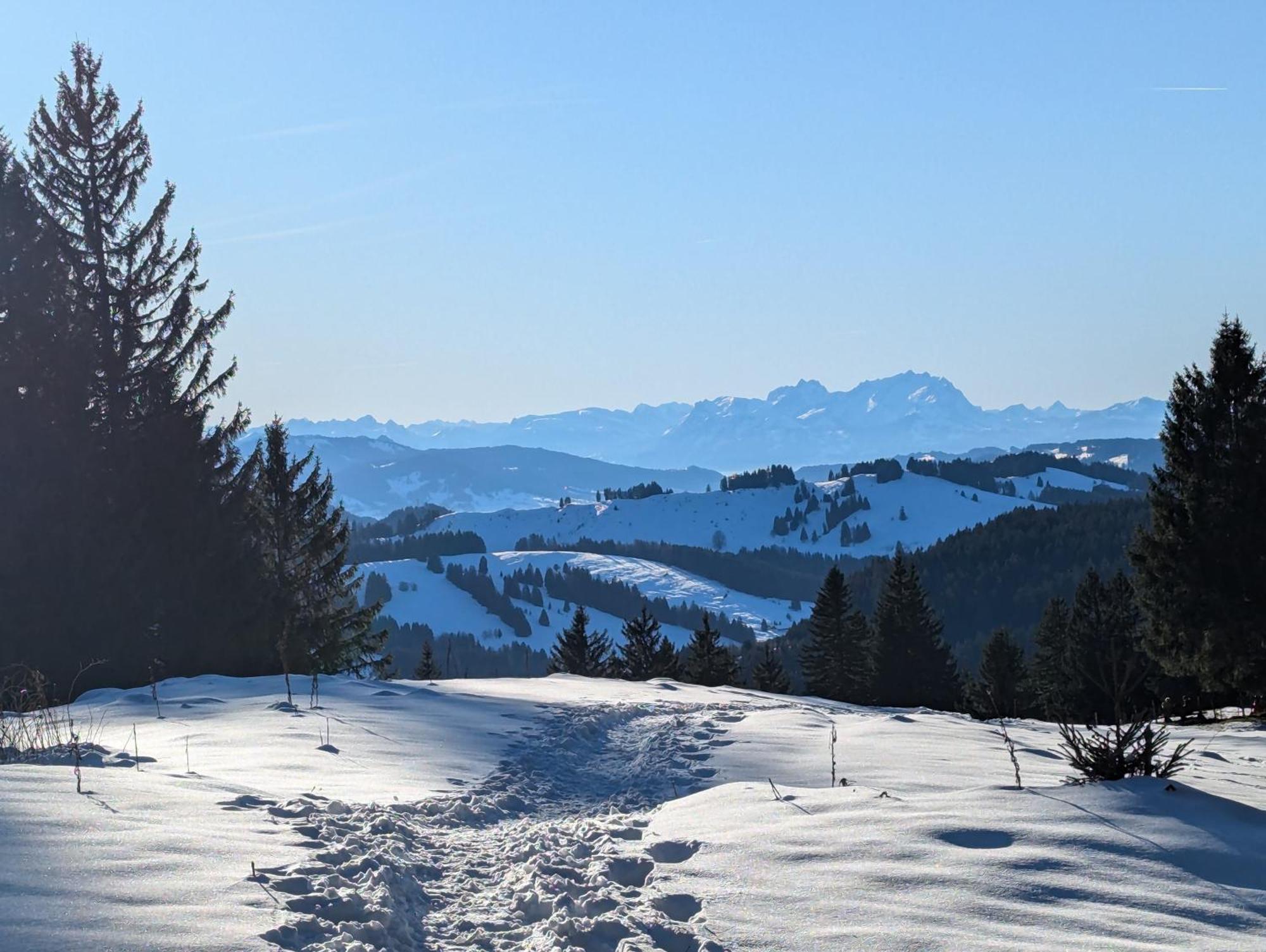 Allgaeu Bergluft Weitnau المظهر الخارجي الصورة
