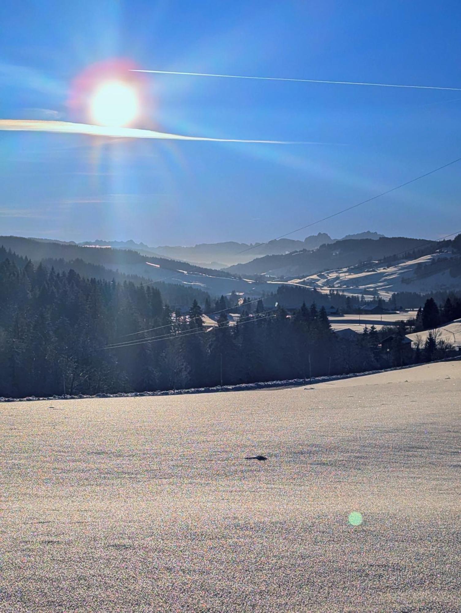 Allgaeu Bergluft Weitnau المظهر الخارجي الصورة